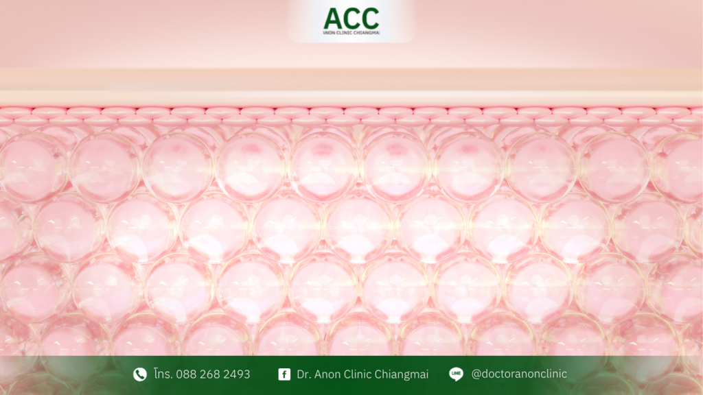 sylfirm-x-plus-skin-roadmap-steps-care-2